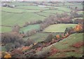 Dyffryn Dulas / The Dulas Valley