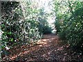 Public footpath linking Yarmouth and Church roads