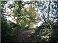 Public footpath past the Blofield recreation ground