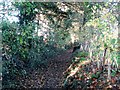 Public footpath to Yarmouth Road