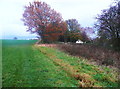 Footpath along the hillside, Kirkby Overblow