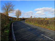 TL4157 : Grantchester to Coton in autumn by John Sutton