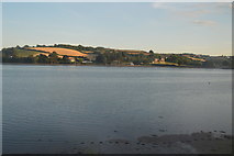SX8972 : Teign Estuary by N Chadwick