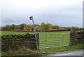 Field entrance and footpath on Black Lane