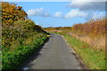 King Lane north of Sunnyside Farm