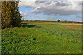 Edge of field opposite Sunnyside Farm