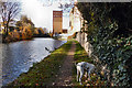 Kings Mill viewed from the canal