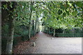 Path in Chiswick Gardens