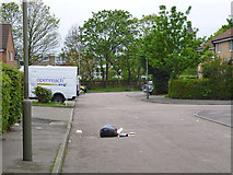 TQ2871 : Street rubbish, Rame Close by Robin Webster