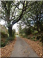 Glendesha Road North of Glendesha Farmhouse