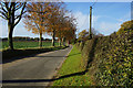 Bessingham Road towards Bessingham