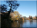 The Lake and its islands, Roath Park, Cardiff