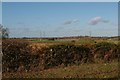 Fields north of Snape Road, Knodishall