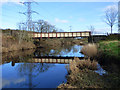 Selvieland Farm access bridge