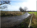 Farm track off the B790 Houston Road