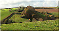 Barn at Luke