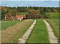 The track to Fishponds Cottage