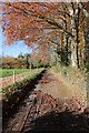 Track on the edge of the Barrington Court estate