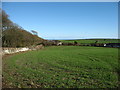 Farmland near Glasserton