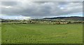 Flat, fertile farmland between the B113 and Carn Hill