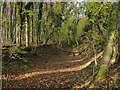 SK4949 : Old railway trackbed, Beauvale Woods by Alan Murray-Rust