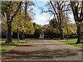 Avenue in Montpellier Gardens