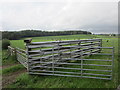 Cattle pens near Lockerbie