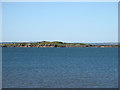 NX5650 : Murray's Isle North by David Purchase