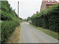 Lane  into  Gribthorpe