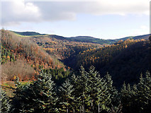 SN7377 : The 'V' shaped valley of the upper section of the lower Cwm Rheidol by John Lucas