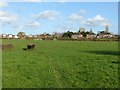 Footpath at Brinsley