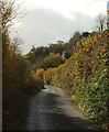 Lane to Addlehole Fork