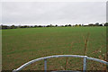 Footpath to Hurley Common