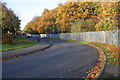 Autumn trees on Nire Road