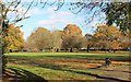 Autumn in Warrender Park