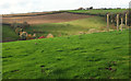 Across the Ledstone valley