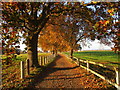 Bridleway to Warning Tongue Lane