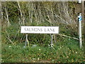 Salmons Lane sign