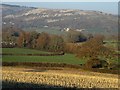 Dyffryn Dulas / Dulas Valley