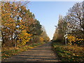 The old road to Finningley