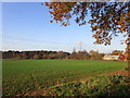 Field between Hayfield Lane and the River Torne