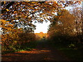 Footpath to Hayfield Green