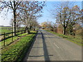 Manley Lane near the entrance drive to Manley House Farm