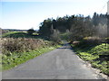 The lane from Gatehouse of Fleet to Laurieston