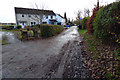 Loanhead Cottages