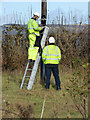 BT Openreach workmen