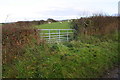 NX9924 : Field gate on NE side of track to Harrington by Roger Templeman