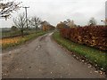 Path heading to the A413