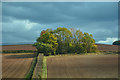 SK5041 : Broxtowe : Countryside Scenery by Lewis Clarke