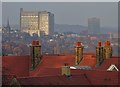 View north from Brincliffe Hill, Sheffield